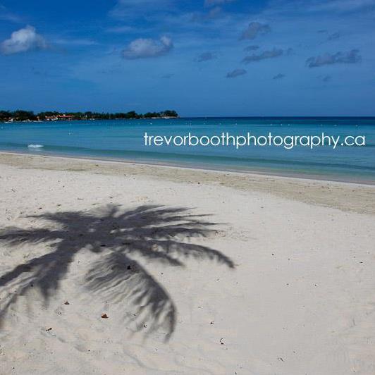 http://www.trevorboothphotography.ca