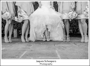 Jaques Scheepers Photography, Windsor, Ontario